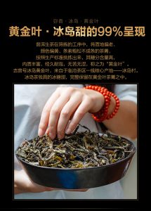 云茶黄金叶现货交易技巧