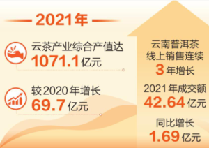 云茶黄金叶现货配合指标