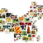 云茶国际农产品流通中心有限公司：为农业生产加“保险”