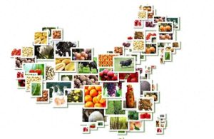 云茶国际农产品流通中心有限公司：为农业生产加“保险”